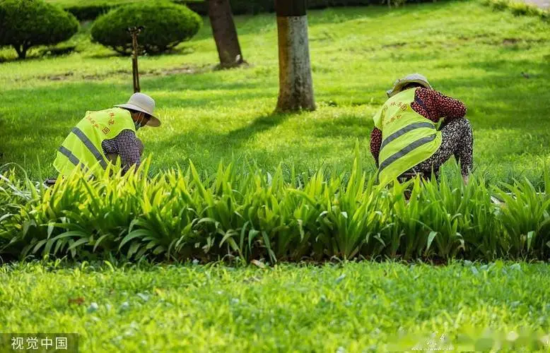 花木城园林景观设计方案