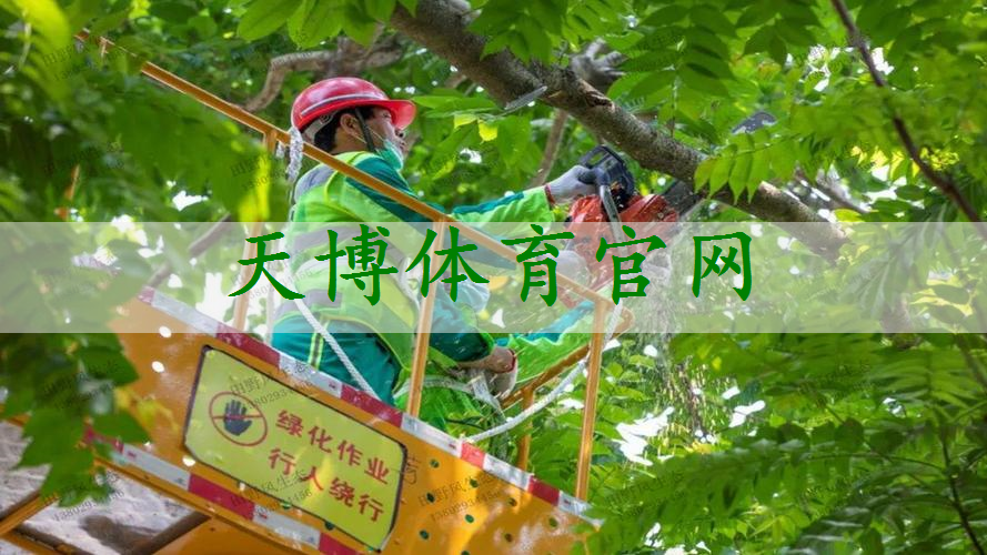 徐州市区小区园林绿化工程施工