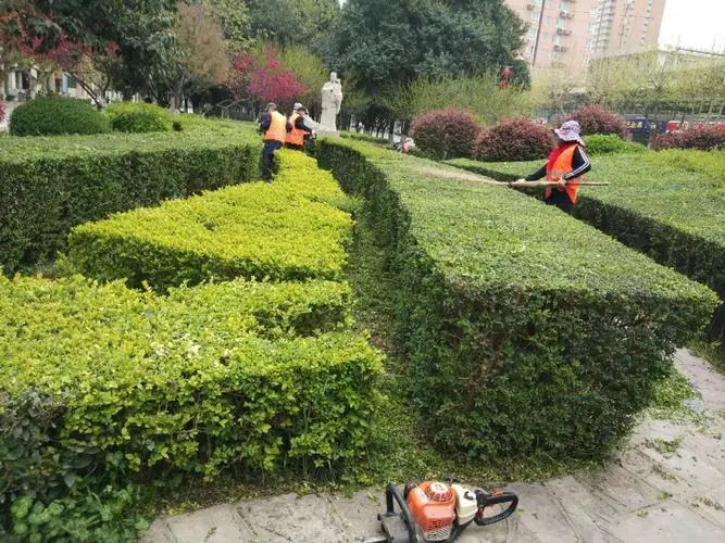 云龙山门口隧道绿化工程