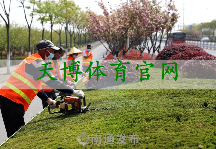 别墅园林景观设计窄长形