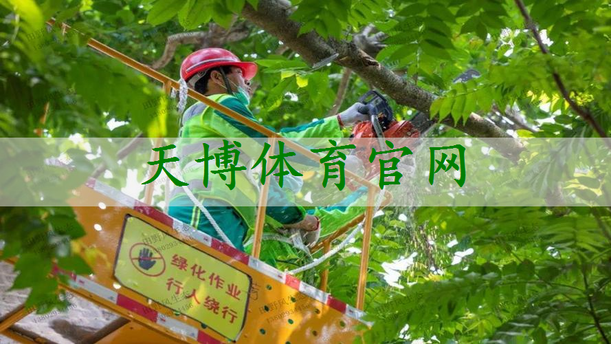 15平方园林景观设计